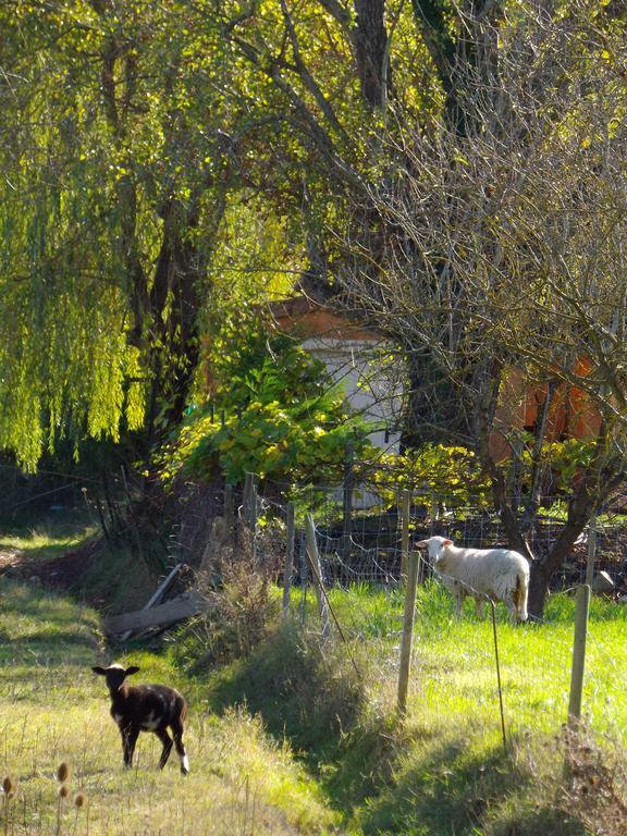 Chambres D'Hote Les Jardins De Prasserat Vallon-Pont-dʼArc Kültér fotó